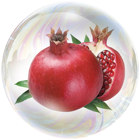 Semilla de granada (Punica granatum)