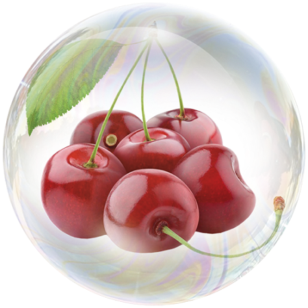 Cereza (Prunus avium)