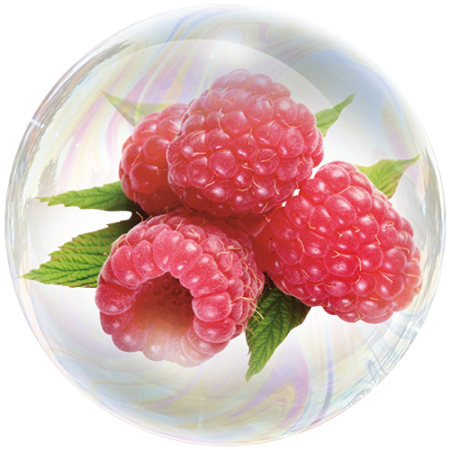 Frambuesa (Rubus idaeus)