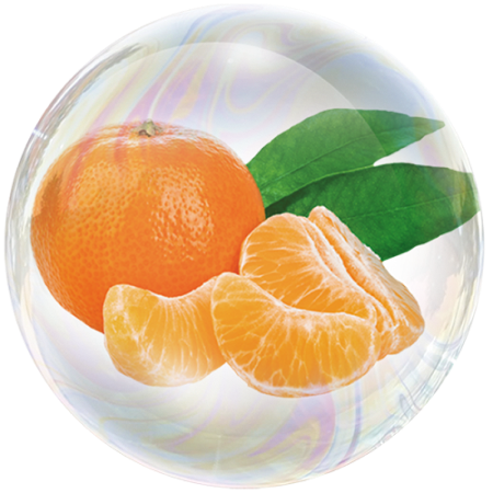Mandarina (Citrus reticulata)