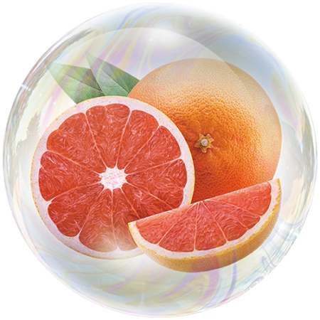 Toronja (Citrus paradisi)