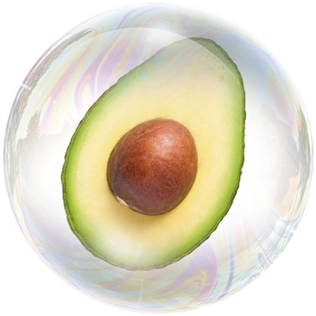 Aguacate