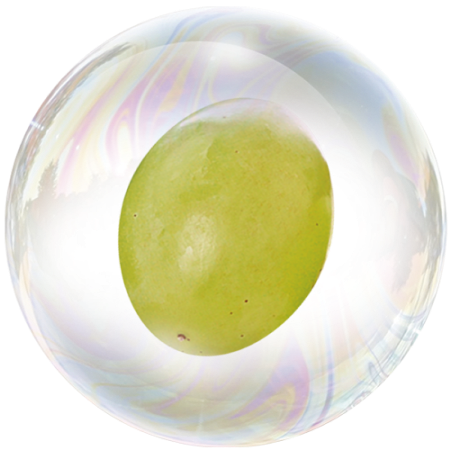 Semilla de uva (Vitis vinifera)