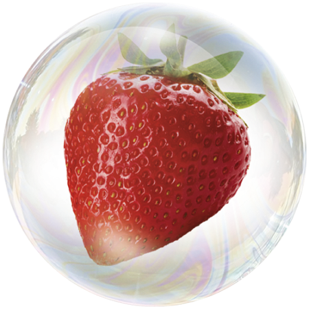 Fruto de fresa (Fragaria)