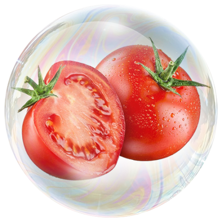 Extracto de tomate